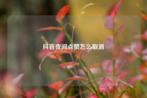 抖音夜间点赞怎么取消