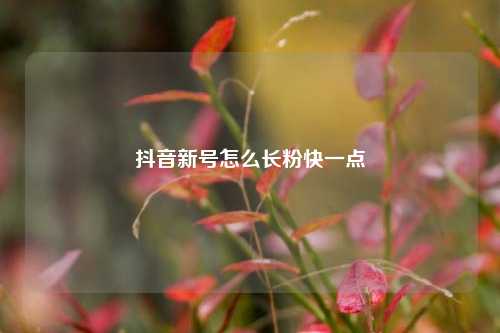 抖音新号怎么长粉快一点