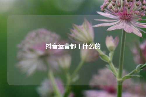 抖音运营都干什么的