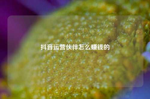 抖音运营伙伴怎么赚钱的
