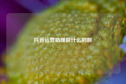 抖音运营助理做什么的啊
