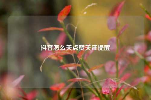 抖音怎么关点赞关注提醒