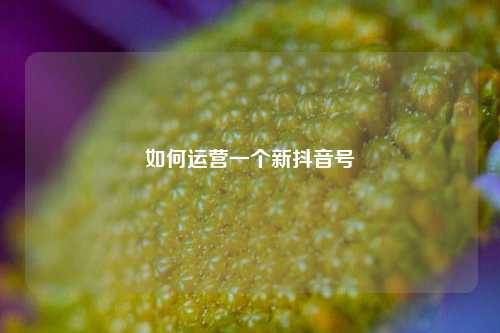 如何运营一个新抖音号
