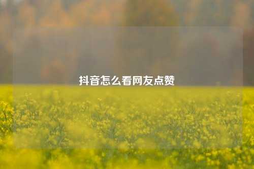 抖音怎么看网友点赞