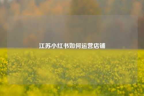 江苏小红书如何运营店铺