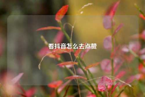 看抖音怎么去点赞