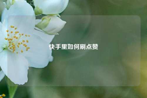 快手里如何刷点赞