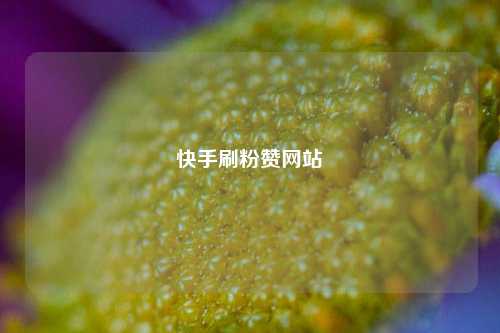 快手刷粉赞网站