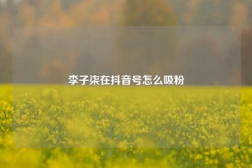 李子柒在抖音号怎么吸粉