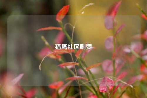 猎鹰社区刷赞
