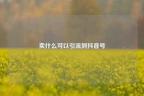 卖什么可以引流到抖音号