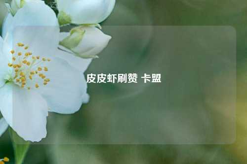 皮皮虾刷赞 卡盟