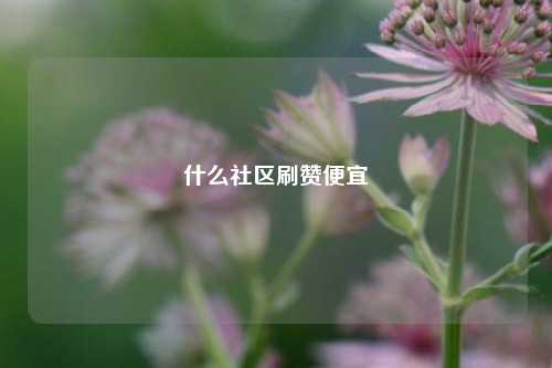 什么社区刷赞便宜