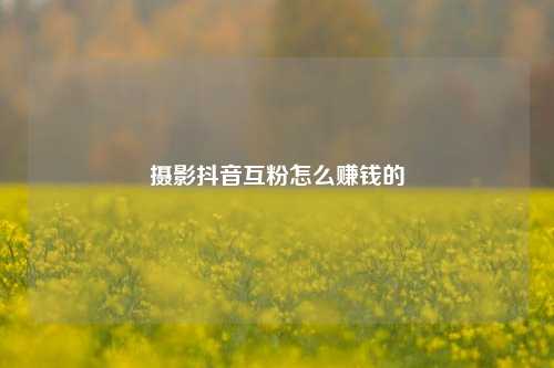 摄影抖音互粉怎么赚钱的