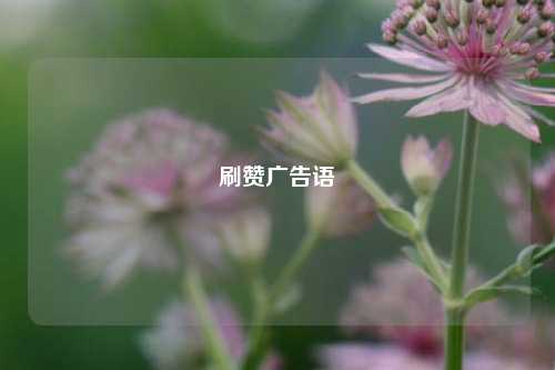 刷赞广告语