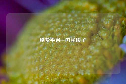 刷赞平台+内涵段子