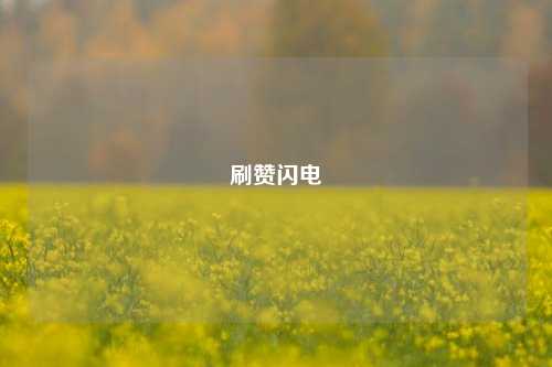 刷赞闪电