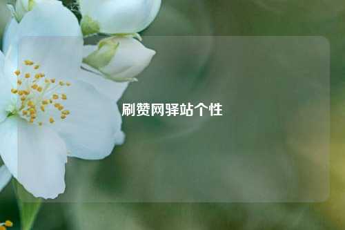刷赞网驿站个性