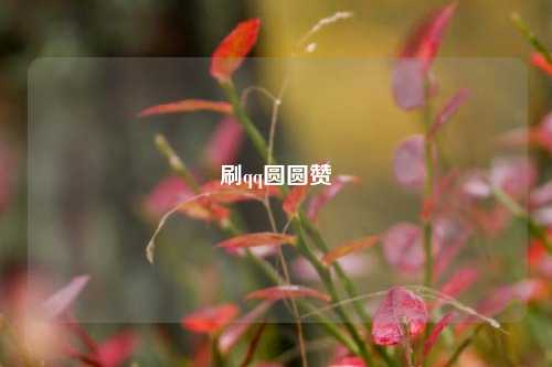 刷qq圆圆赞
