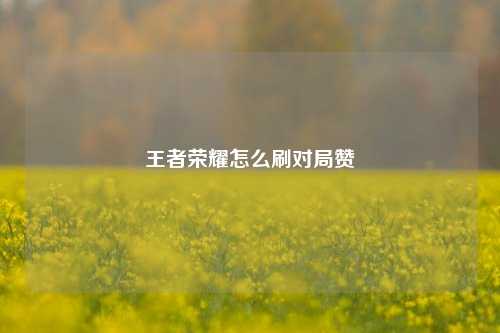 王者荣耀怎么刷对局赞