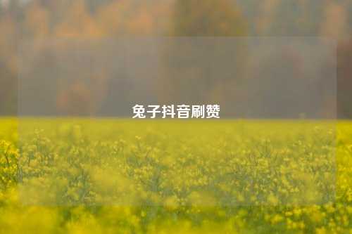 兔子抖音刷赞