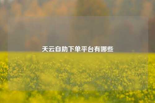 天云自助下单平台有哪些