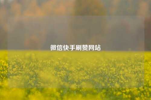 微信快手刷赞网站