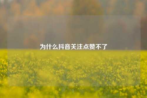 为什么抖音关注点赞不了