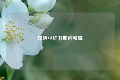纹绣小红书如何引流