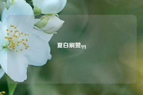 夏白刷赞qq