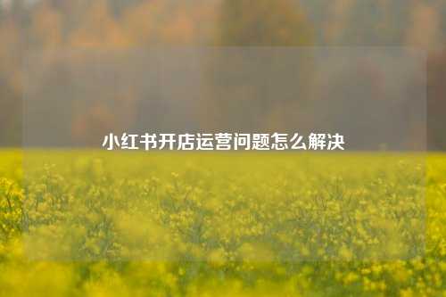 小红书开店运营问题怎么解决