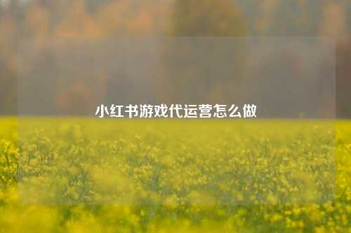 小红书游戏代运营怎么做
